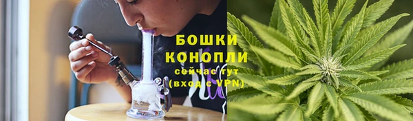 эйфоретик Инсар