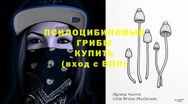 эйфоретик Инсар