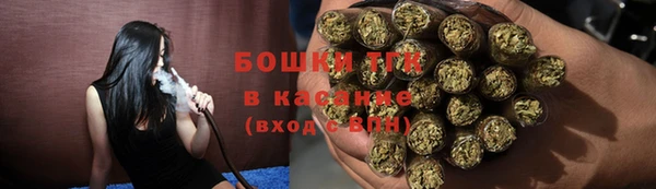 эйфоретик Инсар