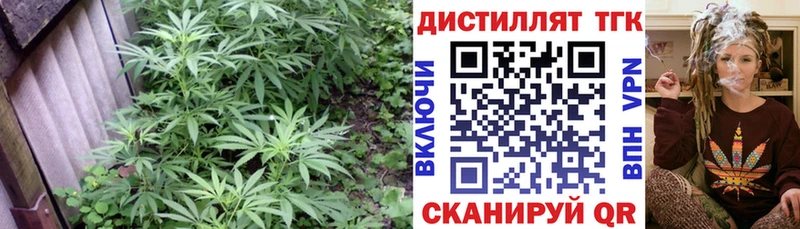 ТГК жижа  Спас-Клепики 