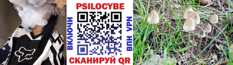 где найти   Спас-Клепики  kraken ТОР  Псилоцибиновые грибы Psilocybine cubensis 